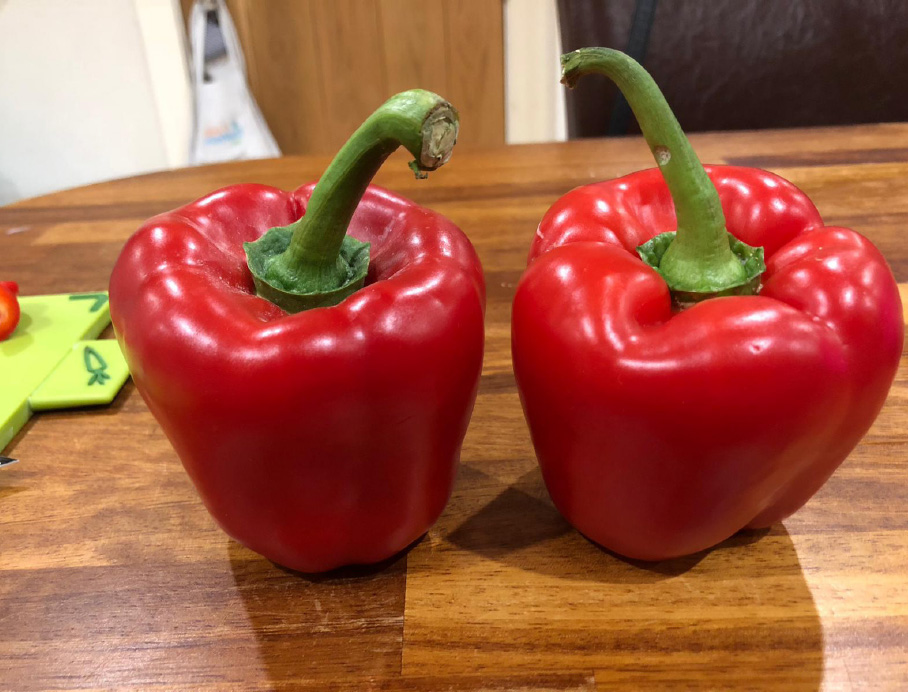 Red Peppers